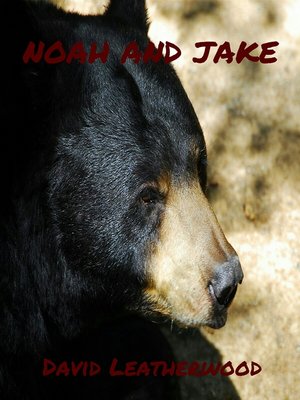 cover image of Noah and Jake